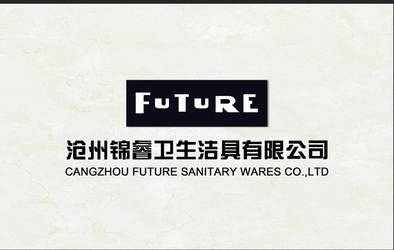 КИТАЙ CangZhou Future Sanitaryware Co.,Ltd.