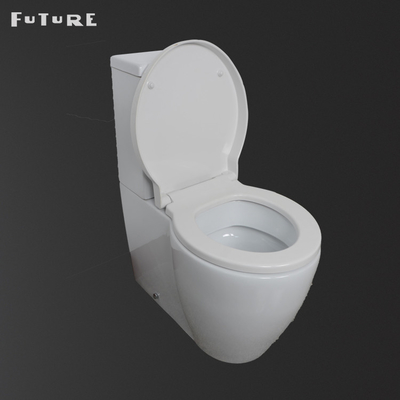 Туалет Bathroom высокой плотности соединенный концом
