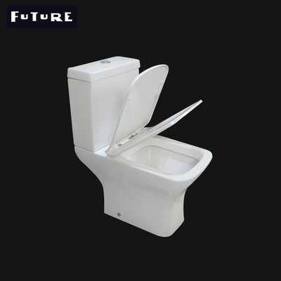 Ровный застекленный Rimless небольшой конец соединил Wc