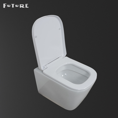 Задняя часть Commode высокой плотности умная к туалету Washdown стены приглаживает застекленный