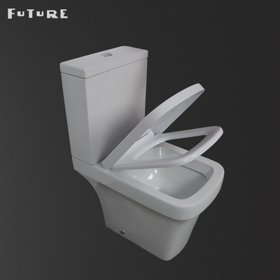 Washdown топя близкий соединенный туалет Bathroom вытянул шар для квартиры
