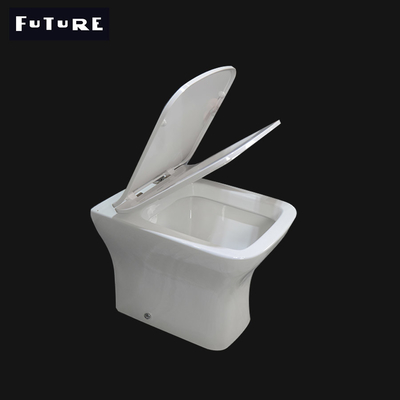 Современная задняя часть Bathroom для того чтобы огородить установленный пол Rimless Washdown туалета топя -