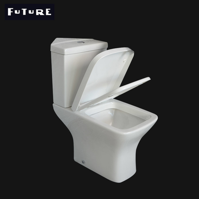 Washdown топя идеальный стандартный Commode угла туалета угла космоса