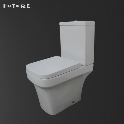 Сурдинка ловушки p топя близкий соединенный пол туалета Bathroom - установил wc ISO9001