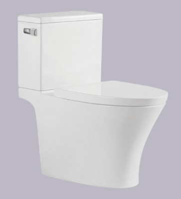 Washbasin 695*395*750mm Watercloset двухкусочного туалета ловушки s филиппинский