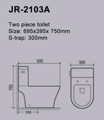 Washbasin 695*395*750mm Watercloset двухкусочного туалета ловушки s филиппинский